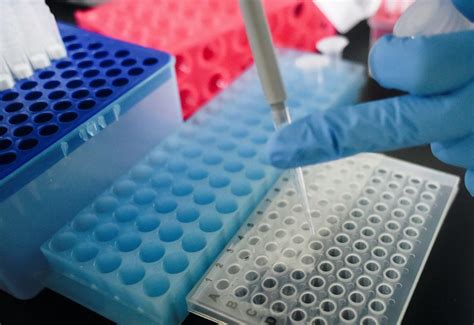 【北京高级软件技术培训课程价格】