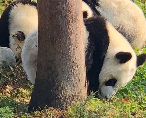 北京4-5岁儿童足球启蒙班