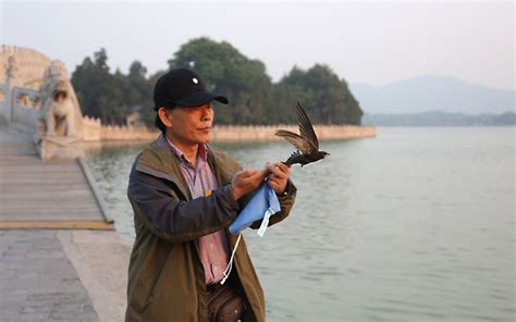 北京2D动画设计培训多少钱