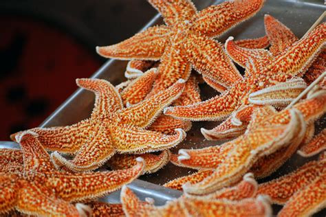 北京什么区有UI设计师的培训辅导机构