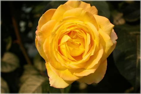 北京托福春季培训班