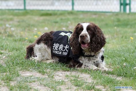 兰州职称英语培训