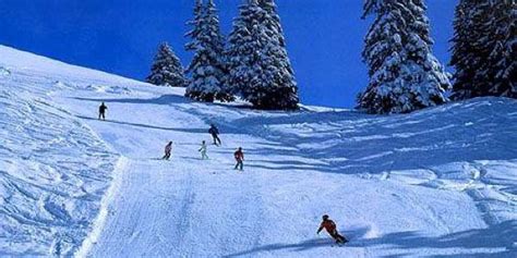 顺义区软件开发课程