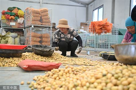 甘肃定西月嫂中心哪家好，好的月嫂公司