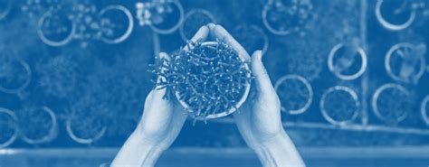 北京名校mba学费