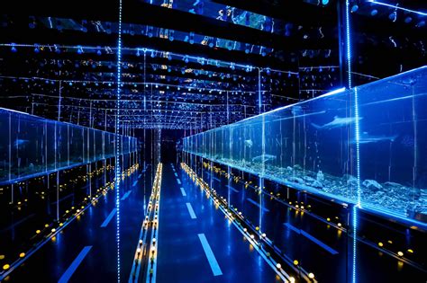 上海数据库系统培训课程哪好