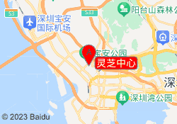 灵芝中心