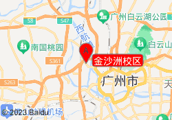 金沙洲校区