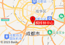 桐梓林中心