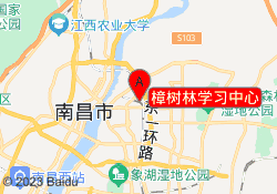 樟树林学习中心