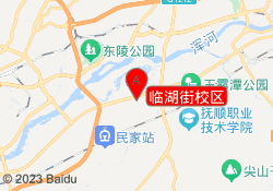 临湖街校区