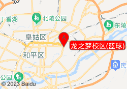 龙之梦校区(篮球)