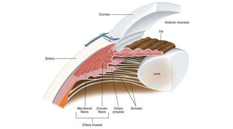 兰州半孕睫术培训