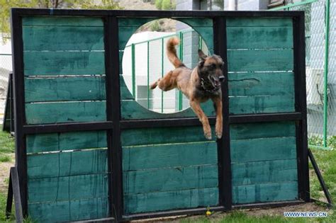 兰州专业的美甲培训