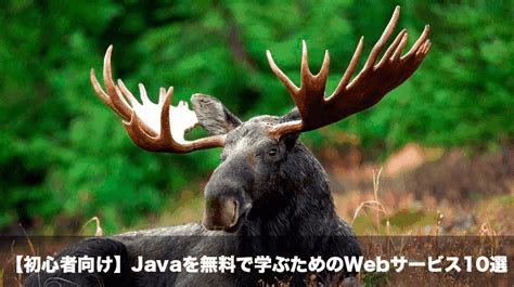 珠海java学习班哪个好