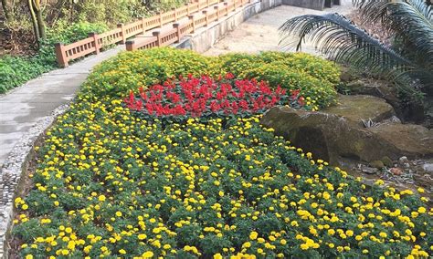 佛山总裁研修班培训报名