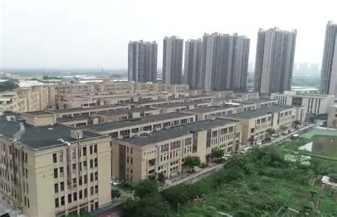 博商管理资本运营创新实战班 佛山