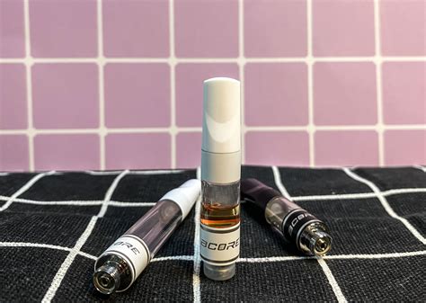 博商女子学堂怎么样 博商管理女子学堂学什么