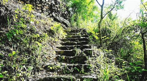 茂名专业的瑜伽培训机构