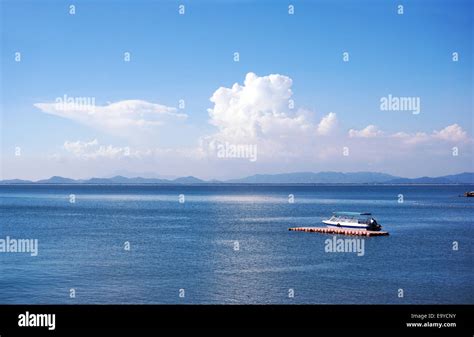 茂名泡椒凤爪技术培训