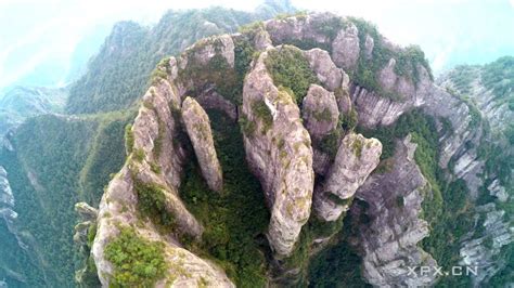 茂名温州永嘉猪头排培训