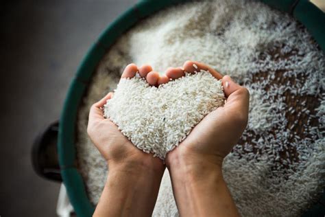 茂名猪手饭技术培训