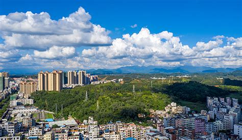 茂名正宗陕西凉皮实操培训