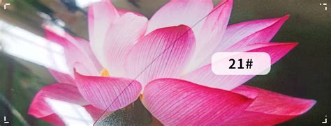 佛山新励成口才培训