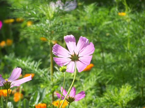 顺德青少年自信口才培训