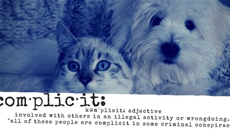 佛山口才人际沟通培训班