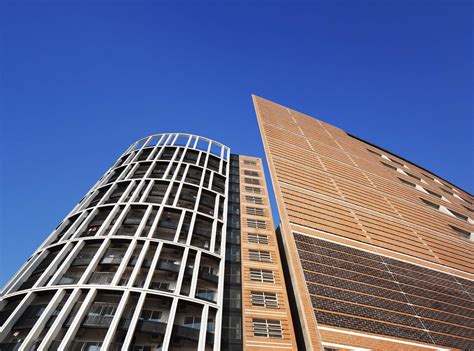 顺德生命的绽放培训班