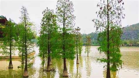 顺德大良演讲口才培训收费怎么样