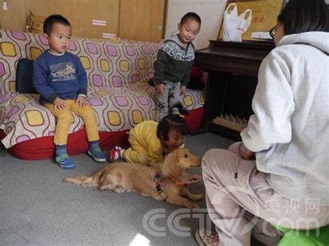 海淀区小孩口才培训哪家好