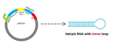 兰州ui设计培训那家好