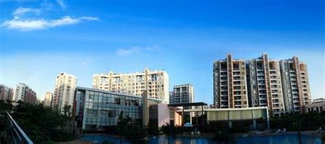 江门东莞大包培训班