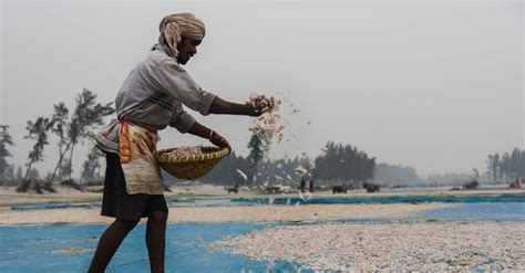 江门五谷鱼粉培训班