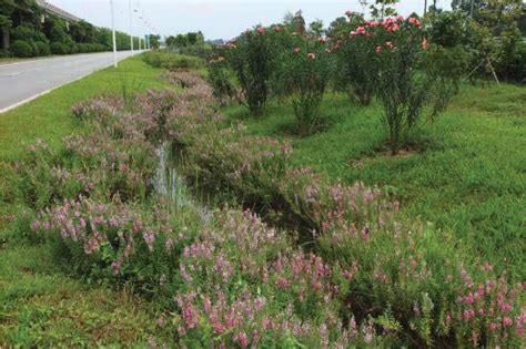 佛山基础会计实务培训
