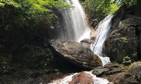 东莞浏阳蒸菜辅导