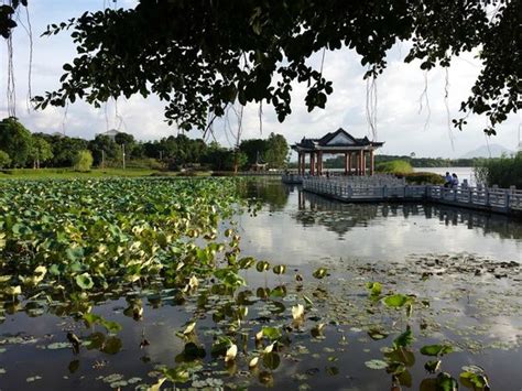 东莞粥粉面培训费用