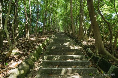 东莞大岭山平面设计辅导班
