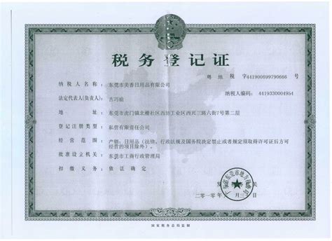 东莞美体全科辅导