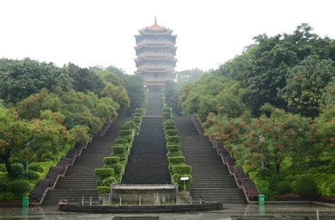 东莞SQL培训哪里好