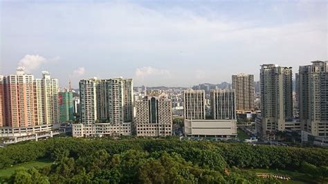 东莞虎门股票培训哪家好-哪里有