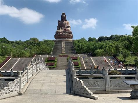 南海区会计实务培训