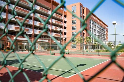 南海区外贸会计实操