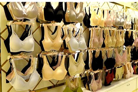 东莞方普内审员培训怎么样