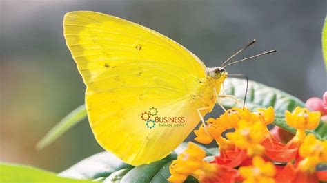 佛山说话技巧培训机构