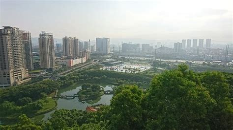 东莞虎门网络营销课程