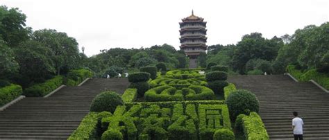 东莞成人英语初级学习班