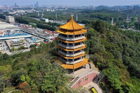 东莞厚街艺考文化课十大培训机构